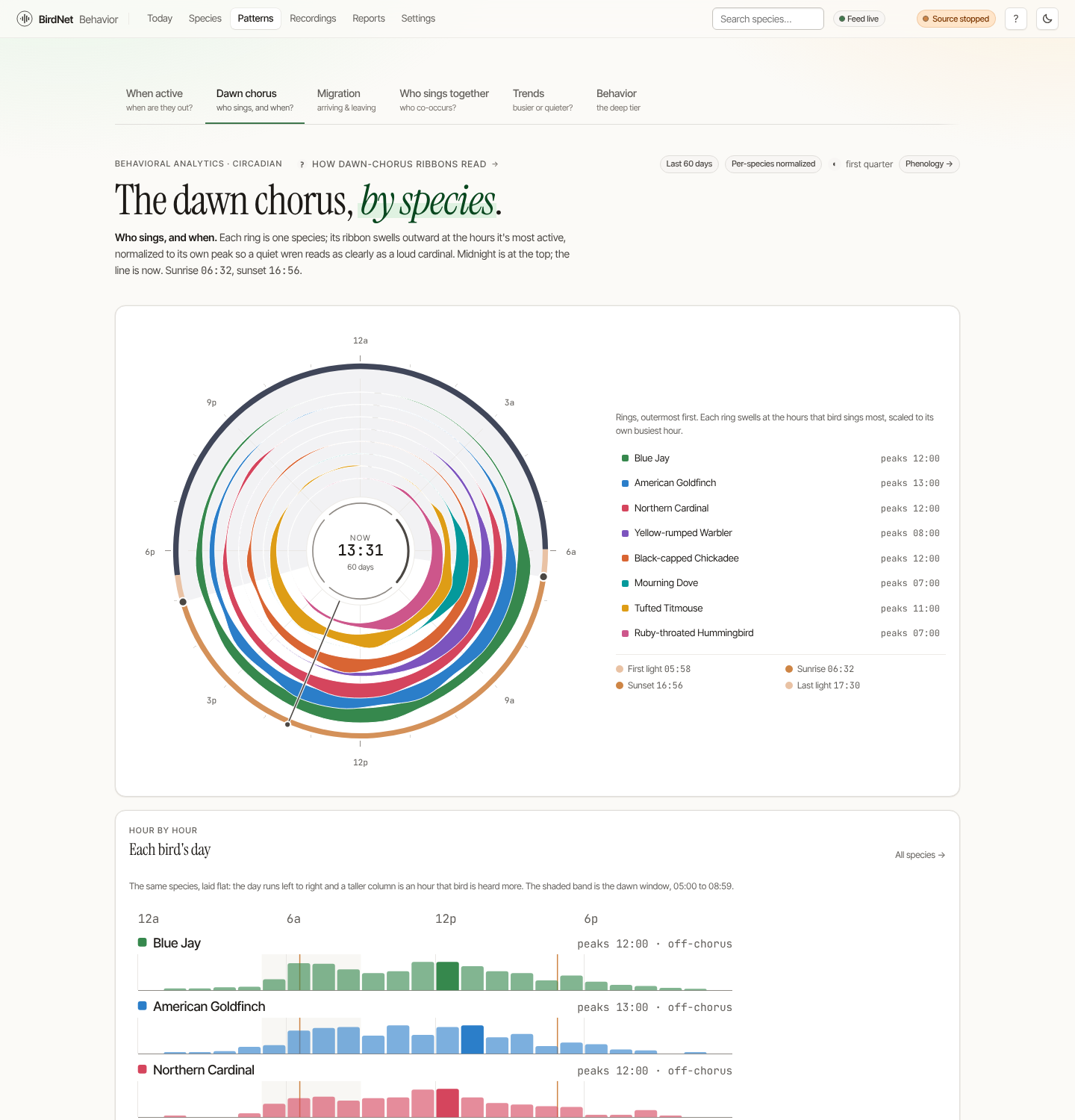 The dawn chorus page